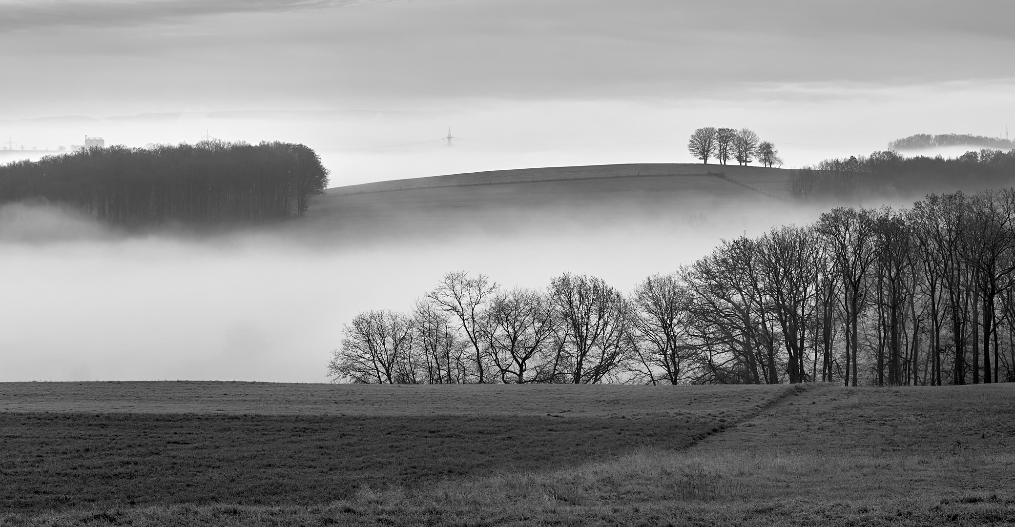 Ganz schön dicht war der Nebel am Donnerstagmorgen 30.11.2023 in Eulenbis, Minus 2 Grad und schön…