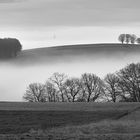 Ganz schön dicht war der Nebel am Donnerstagmorgen 30.11.2023 in Eulenbis, Minus 2 Grad und schön…