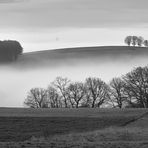 Ganz schön dicht war der Nebel am Donnerstagmorgen 30.11.2023 in Eulenbis, Minus 2 Grad und schön…