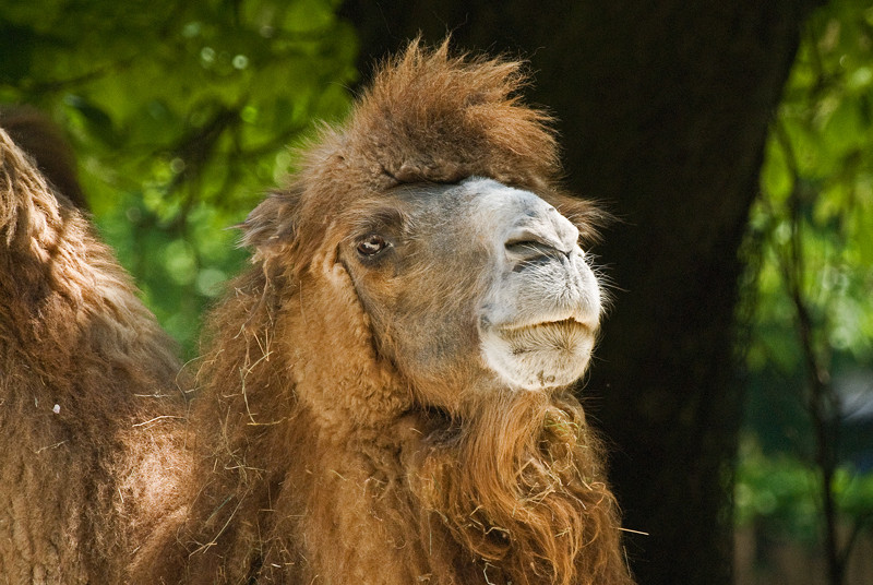 Ganz schön hochnäsig