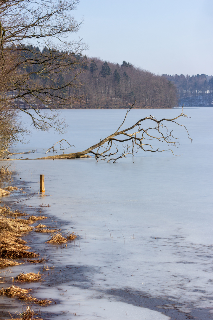 Ganz schön kalt...