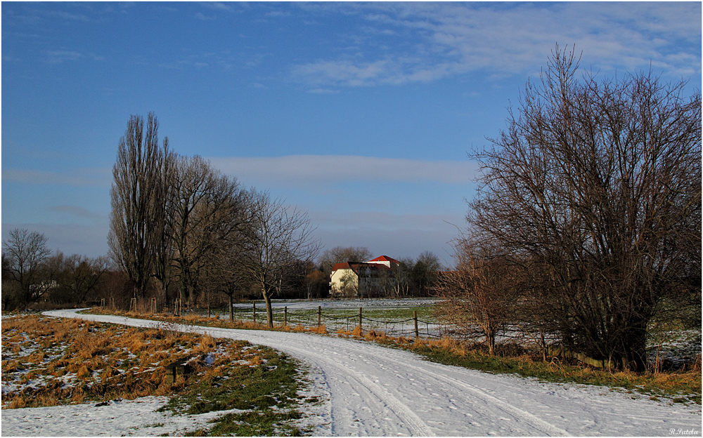 Ganz schön mickrig der Winter