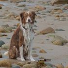 ganz schön nass das Meer der Bretagne