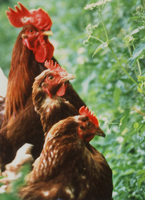 "Ganz schön neugierig"