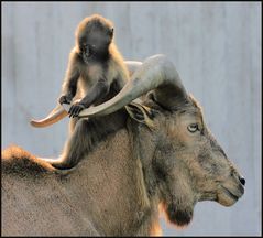 "Ganz schön stabil die Griffe!"