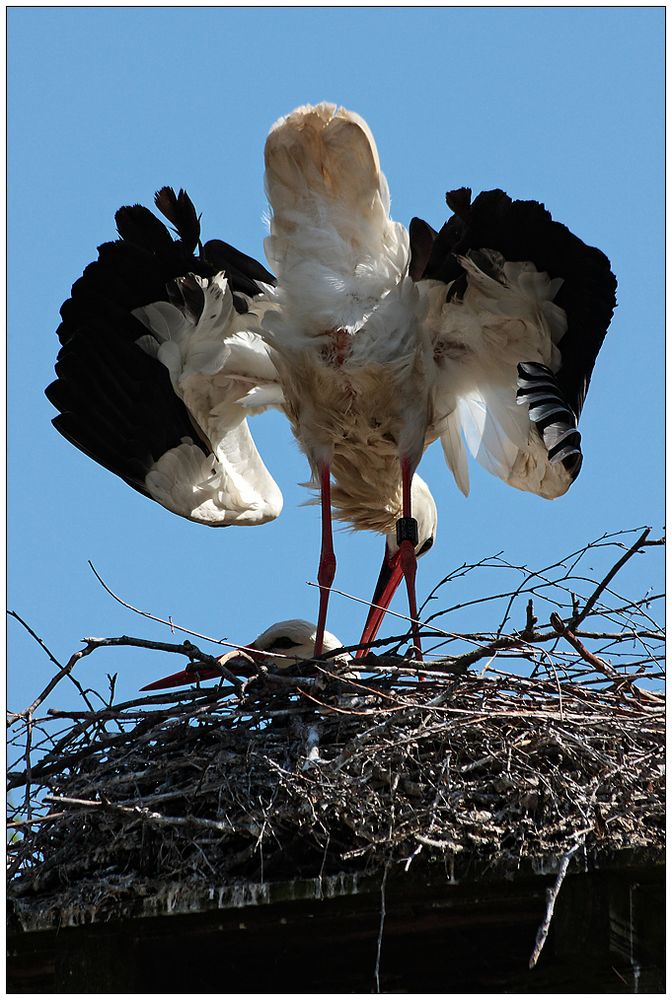 Ganz schön stürmisch heute&hellip; Foto &amp; Bild quatsch, fun und rätselecke