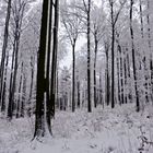 Ganz schön viel Schnee :)