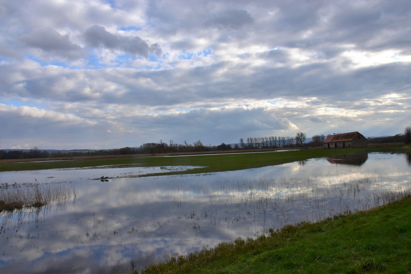 Ganz schön viel Wasser