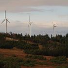 Ganz schön viel Wind...