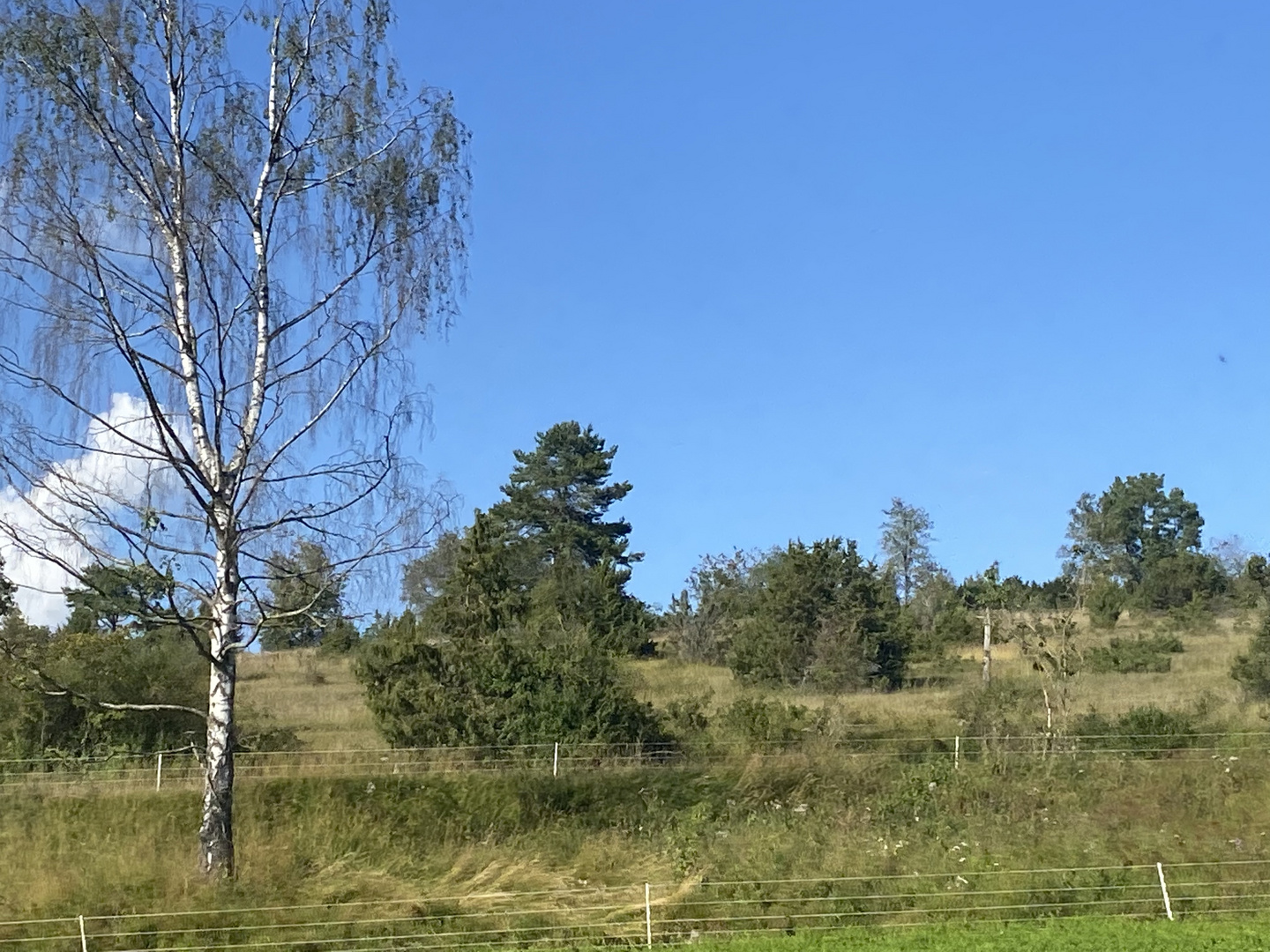 Ganz typische Landschaften auf der schwäbischen Alb