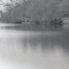 Ganz verträumt zeigt sich heute der Heimacher Stausee (Eifel)