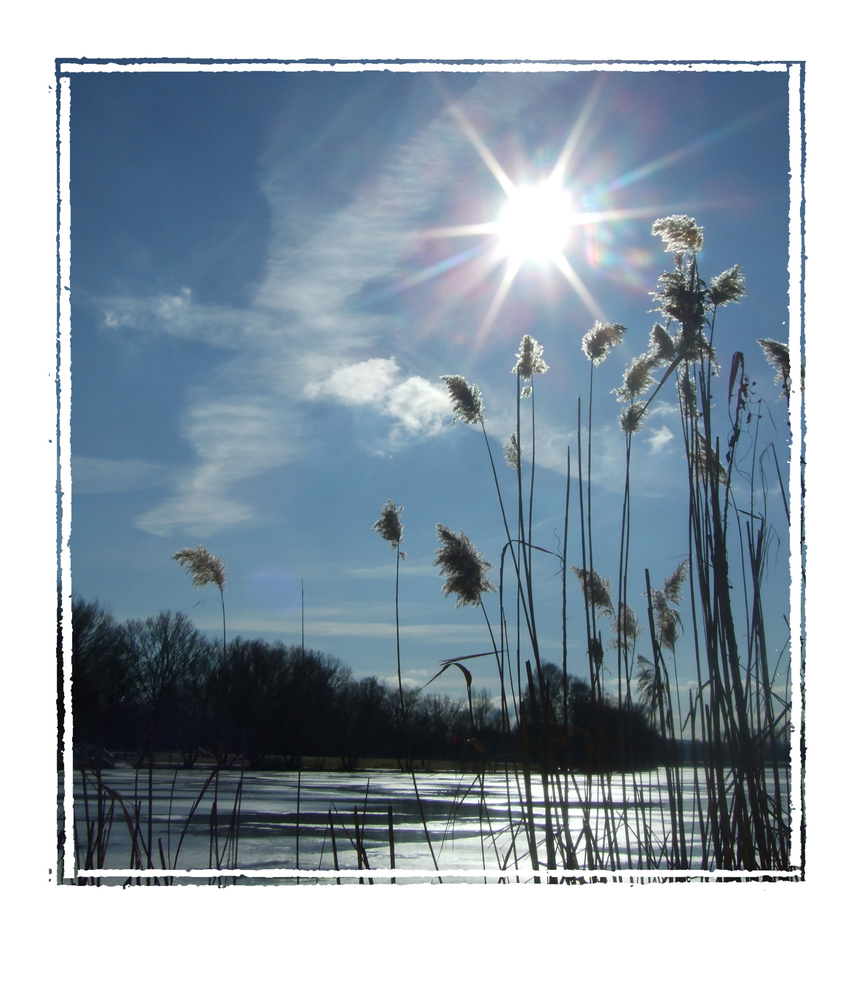 Ganz Viel Kraft Foto Amp Bild Landschaft Bach Fluss Amp See