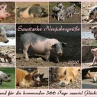 Ganz viel Schwein 