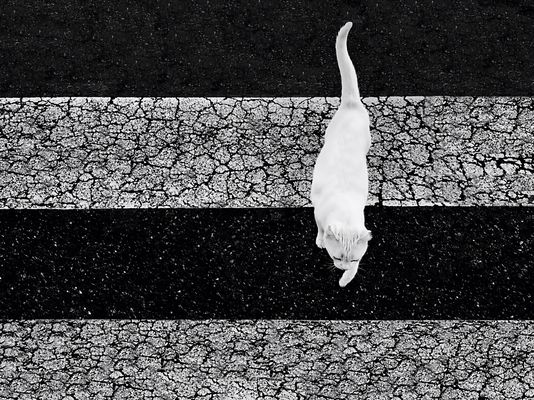 == ganz vorbildlich ==