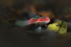 ... ganz vorsichtig ...