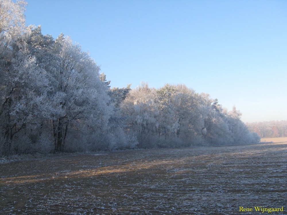 Ganz Winterlich im Dezember 2007