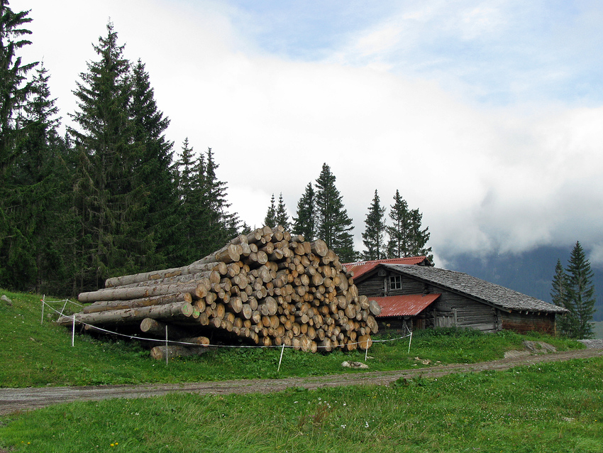 Ganze Menge Holz vor der Hütte