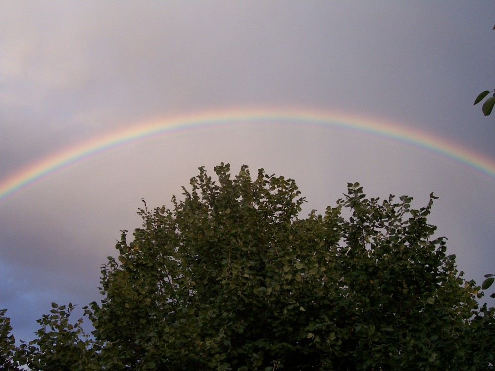 Ganzer Regenbogen