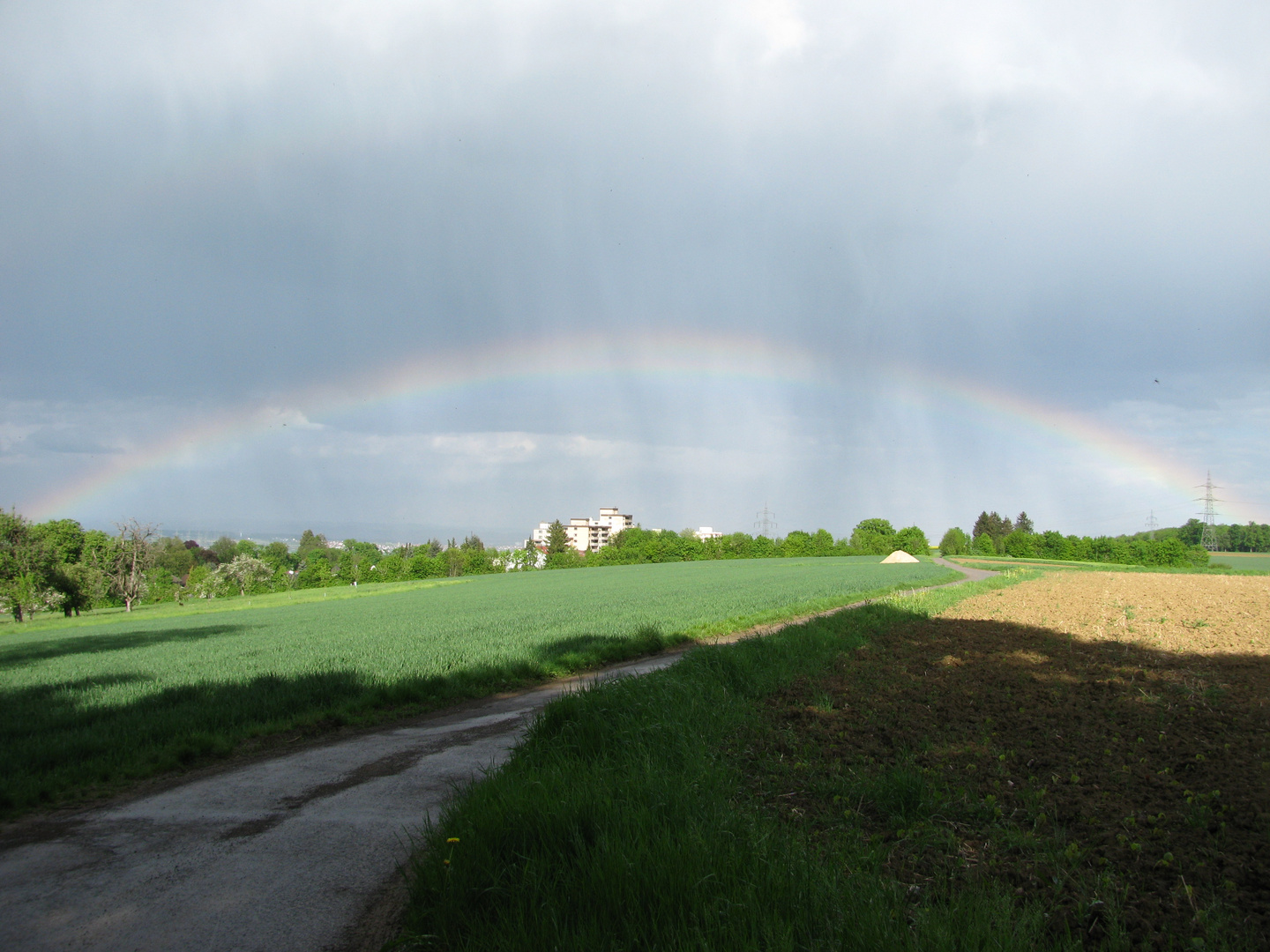 Ganzer Regengogen über Hochdorf