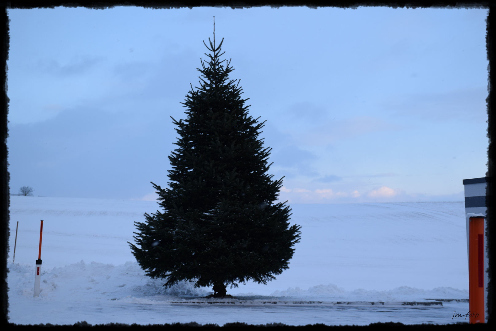 Ganzjahresweihnachtsbaum