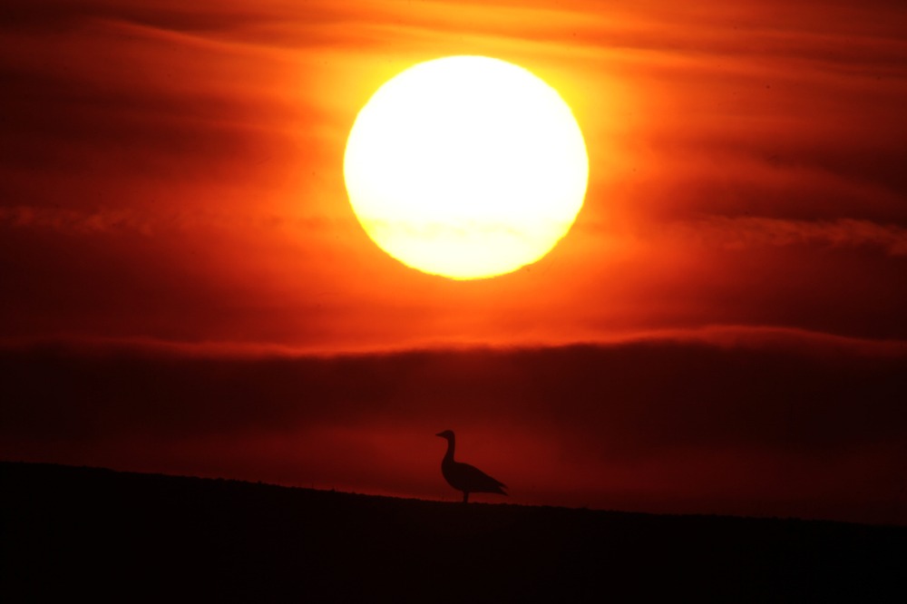 Ganz(s) schöner Sonnenuntergang