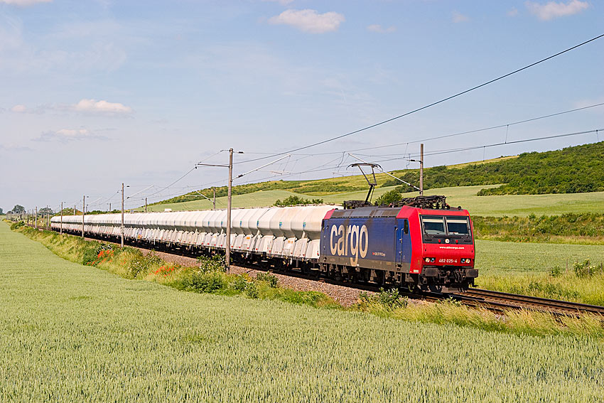 Ganzzug mit SBB Cargo Foto & Bild dampf, diesel und eloks