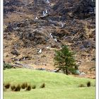 Gap of Dunloe