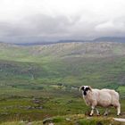 Gap of Dunloe