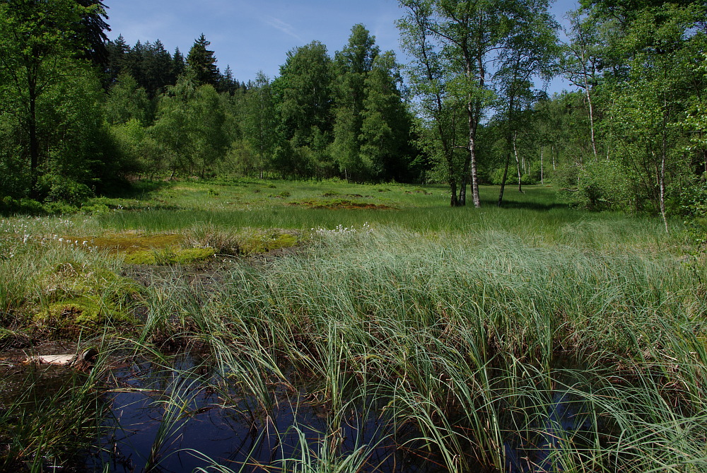 Gar nicht schaurig