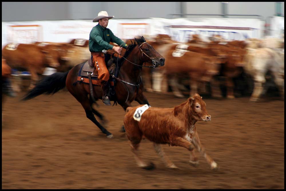 Gara di Time Penning