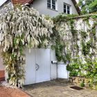 Garage in der Hochblüte