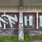 Garagentore mit Graffiti, Wiesbaden