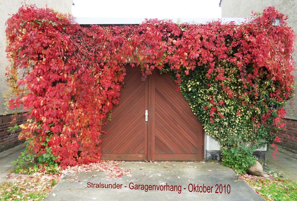 Garagenvorhang - Stralsund