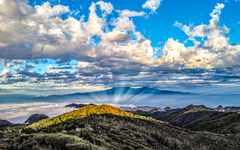 Garajonay - La Gomera