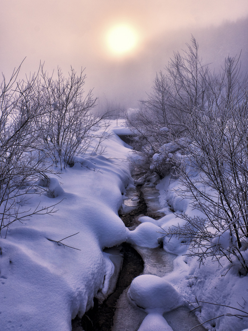 Garantiert das letze Winterfoto....