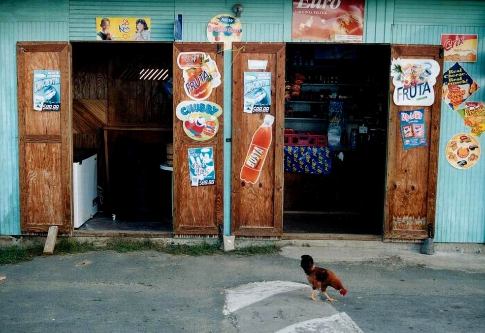 Garantiert freilaufendes Huhn