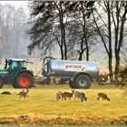 Garant(iert) friedliche Begegnung...