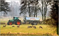 Garant(iert) friedliche Begegnung...