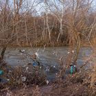 Garbage on river banks