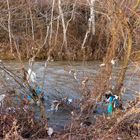 Garbage on river banks