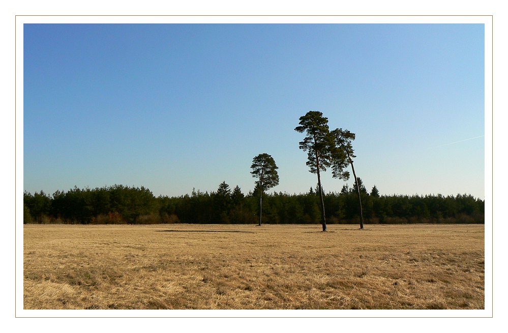 Garchinger Heide