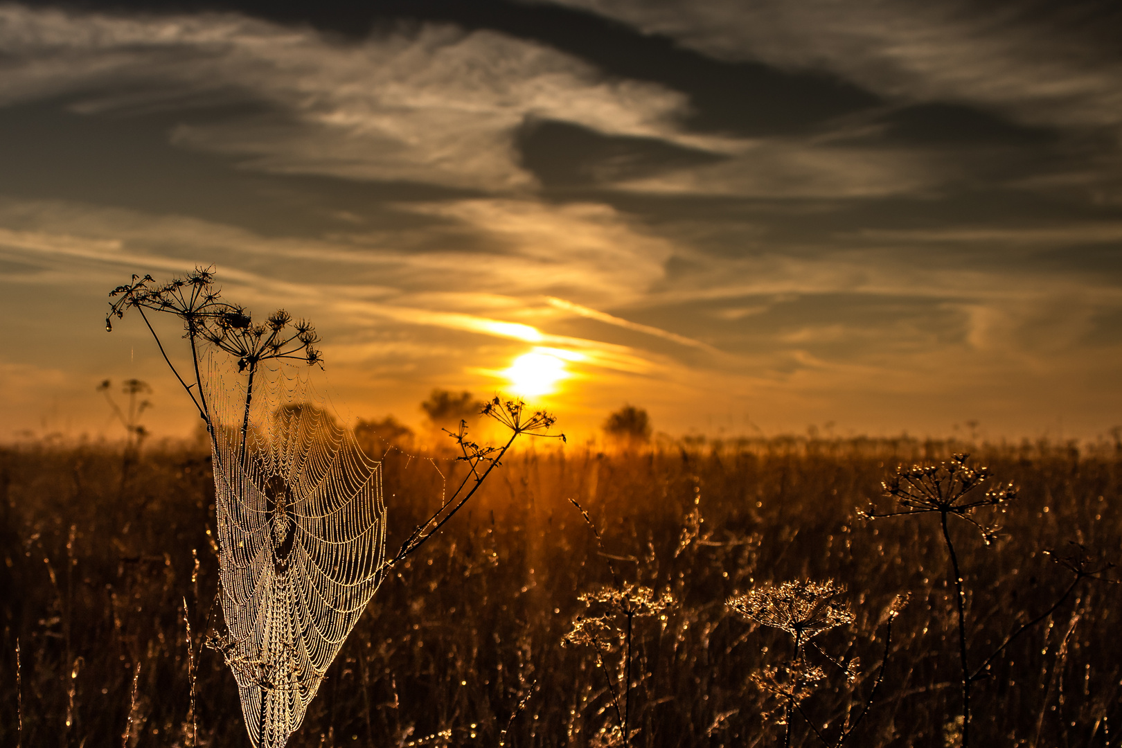 Garchinger Heide-5