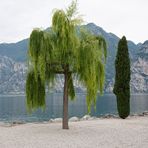 Gardasee