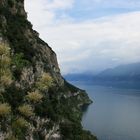 Gardasee