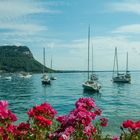 Gardasee Bardolino, Hafen