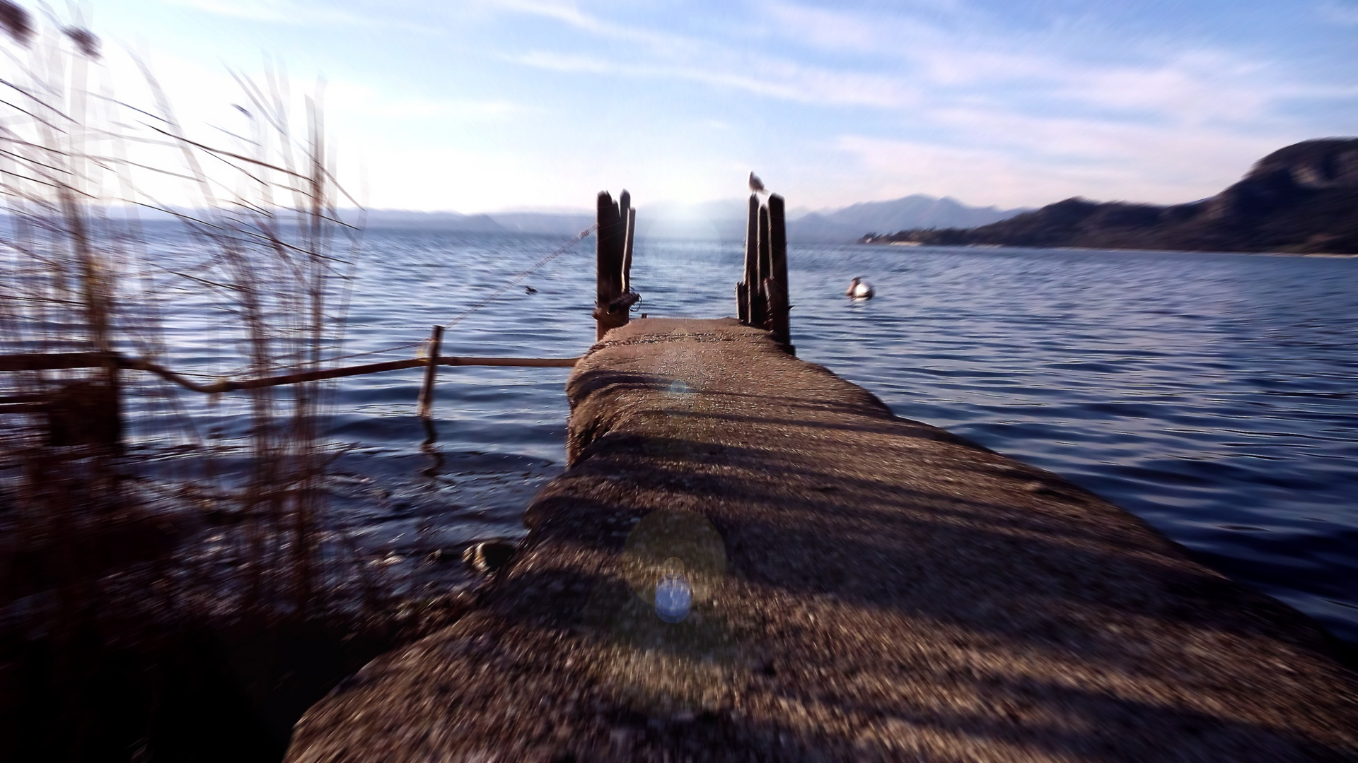 Gardasee