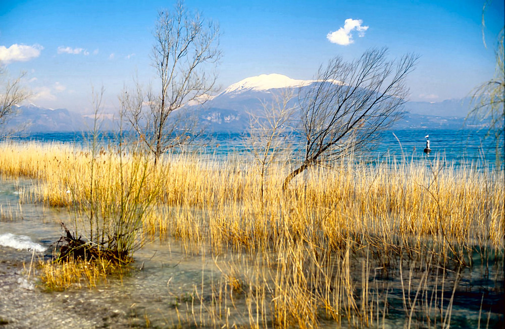 Gardasee bei Sirmione