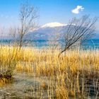 Gardasee bei Sirmione