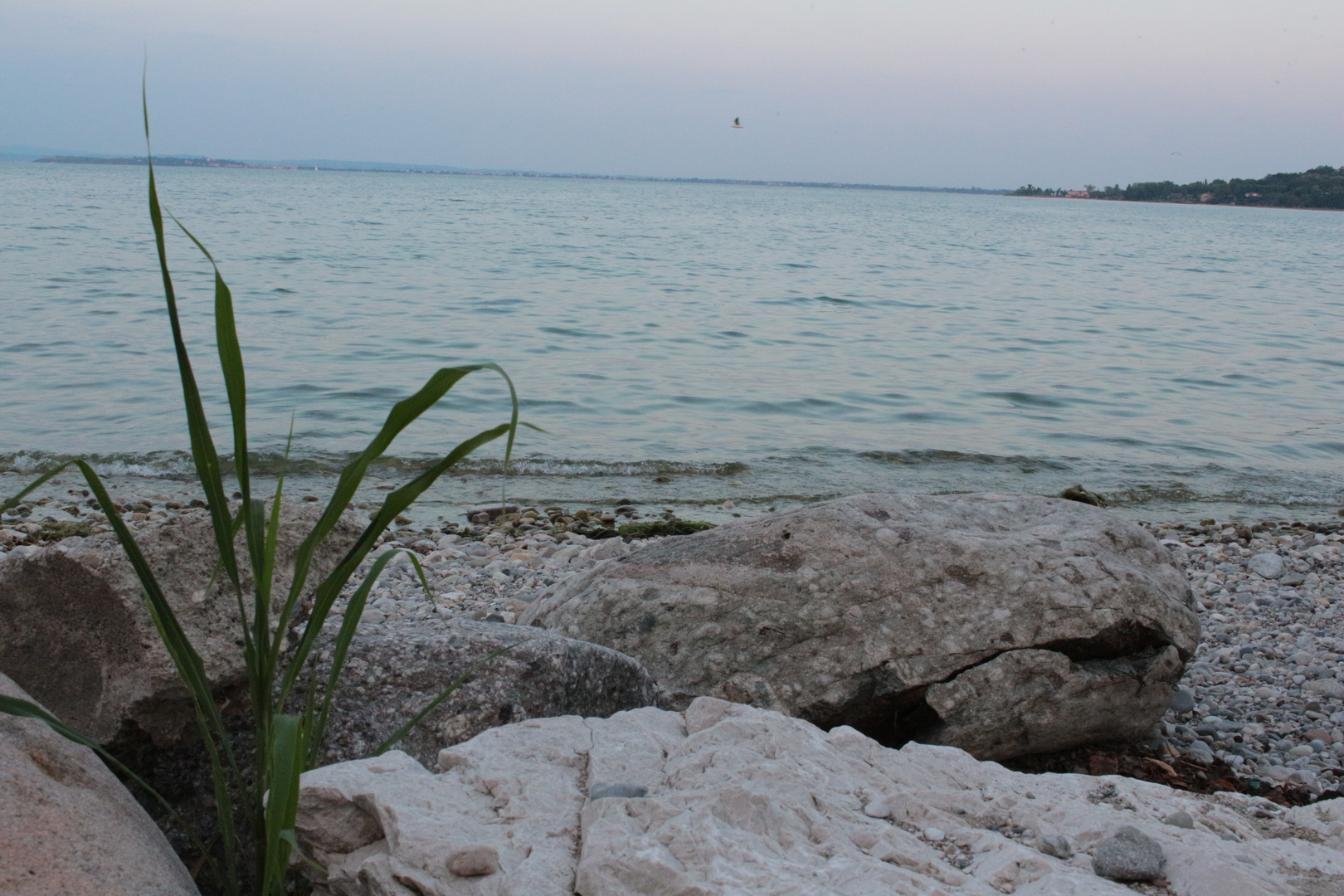 Gardasee bei Sonnenuntergang