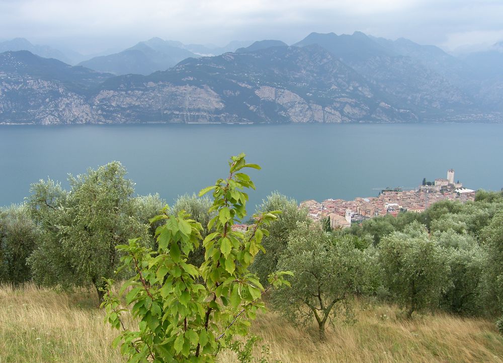 Gardasee